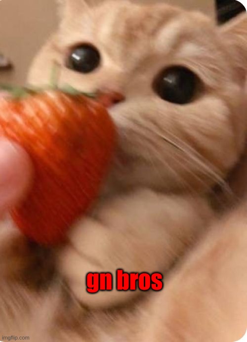 gn bros | made w/ Imgflip meme maker