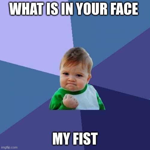 hahah | WHAT IS IN YOUR FACE; MY FIST | image tagged in memes,success kid | made w/ Imgflip meme maker