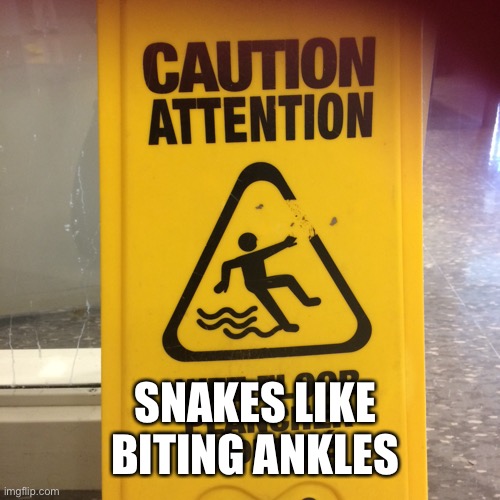 Caution Wet Floor | SNAKES LIKE BITING ANKLES | image tagged in caution wet floor | made w/ Imgflip meme maker
