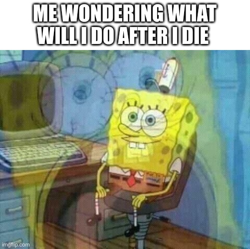 me thinking... | ME WONDERING WHAT WILL I DO AFTER I DIE | image tagged in spongebob panic inside | made w/ Imgflip meme maker