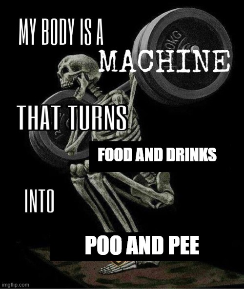 My body is machine | FOOD AND DRINKS; POO AND PEE | image tagged in my body is machine | made w/ Imgflip meme maker