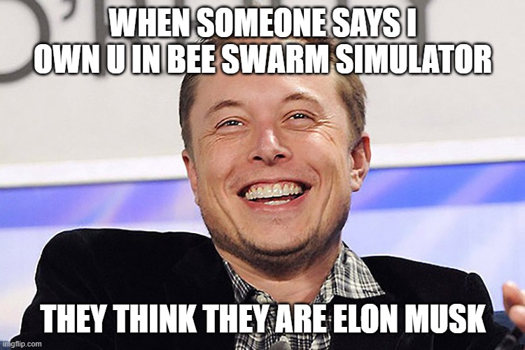 Elon musk | WHEN SOMEONE SAYS I OWN U IN BEE SWARM SIMULATOR; THEY THINK THEY ARE ELON MUSK | image tagged in elon musk,bee swarm simulator,memes | made w/ Imgflip meme maker