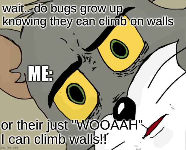 Unsettled Tom Meme | wait.. do bugs grow up knowing they can climb on walls; ME:; or their just "WOOAAH" I can climb walls!! | image tagged in memes,unsettled tom | made w/ Imgflip meme maker