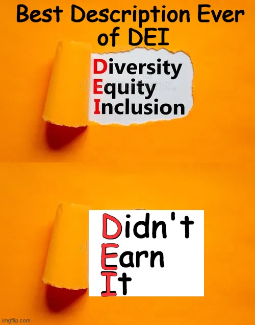DEI Does Not Believe in Diversity or Inclusion | Best Description Ever 
of DEI; D; Didn't; E; Earn; I; It | image tagged in diversity,equity,inclusion,fail,dei,political humor | made w/ Imgflip meme maker