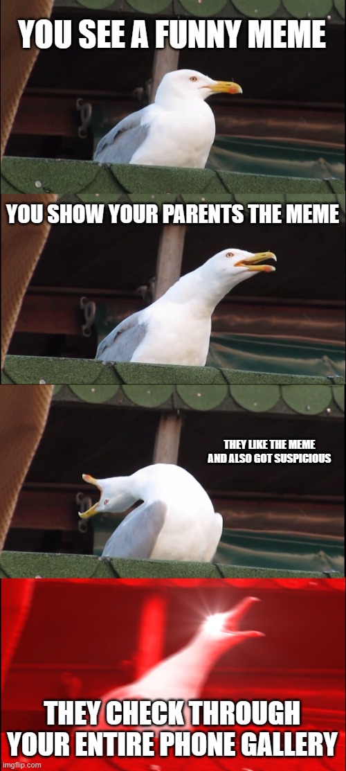 POV: You Have That One Parent | YOU SEE A FUNNY MEME; YOU SHOW YOUR PARENTS THE MEME; THEY LIKE THE MEME AND ALSO GOT SUSPICIOUS; THEY CHECK THROUGH YOUR ENTIRE PHONE GALLERY | image tagged in memes,inhaling seagull | made w/ Imgflip meme maker