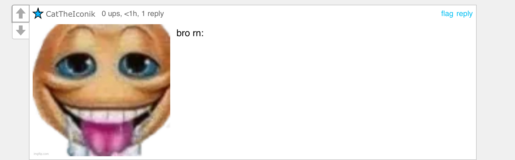 Bro rn Blank Meme Template