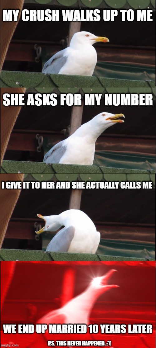 oh, well. | MY CRUSH WALKS UP TO ME; SHE ASKS FOR MY NUMBER; I GIVE IT TO HER AND SHE ACTUALLY CALLS ME; WE END UP MARRIED 10 YEARS LATER; P.S. THIS NEVER HAPPENED. :*( | image tagged in memes,inhaling seagull | made w/ Imgflip meme maker