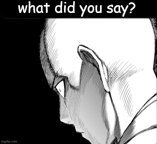 practically saitama prowler | what did you say? | image tagged in funny,funny memes,saitama,death stare | made w/ Imgflip meme maker