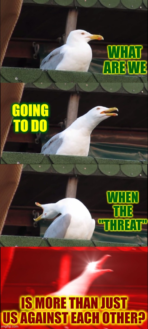 We Aren't Thinking | WHAT ARE WE; GOING TO DO; WHEN THE "THREAT"; IS MORE THAN JUST US AGAINST EACH OTHER? | image tagged in memes,inhaling seagull,people,humanity,wake up,is there anybody out there | made w/ Imgflip meme maker