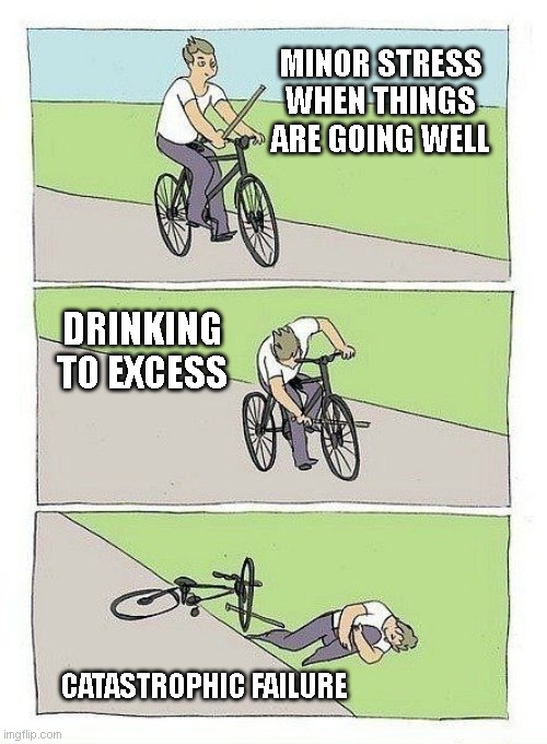 Bycicle | MINOR STRESS WHEN THINGS ARE GOING WELL; DRINKING TO EXCESS; CATASTROPHIC FAILURE | image tagged in bycicle | made w/ Imgflip meme maker