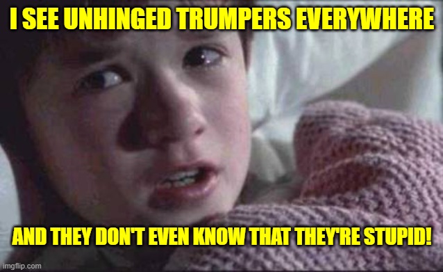 I See Dead People Meme | I SEE UNHINGED TRUMPERS EVERYWHERE; AND THEY DON'T EVEN KNOW THAT THEY'RE STUPID! | image tagged in memes,i see dead people | made w/ Imgflip meme maker