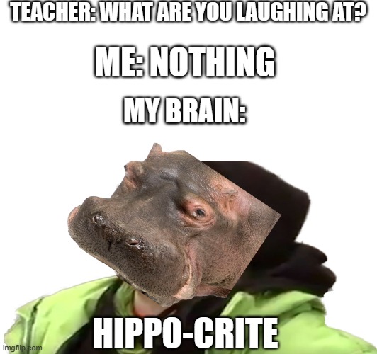 Hippo-crite | TEACHER: WHAT ARE YOU LAUGHING AT? ME: NOTHING; MY BRAIN:; HIPPO-CRITE | image tagged in screaming liberal,hippopotamus,dank memes,hypocrite | made w/ Imgflip meme maker