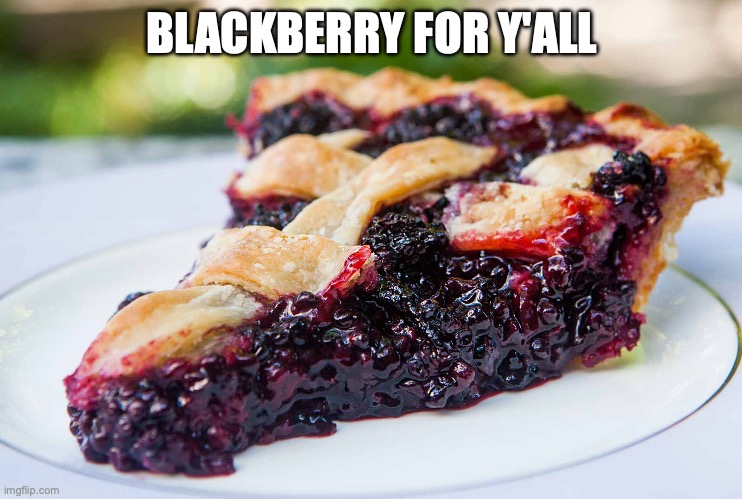Blackberry Pie | BLACKBERRY FOR Y'ALL | image tagged in blackberry pie | made w/ Imgflip meme maker