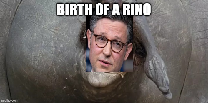 Rhino | BIRTH OF A RINO | image tagged in funny | made w/ Imgflip meme maker
