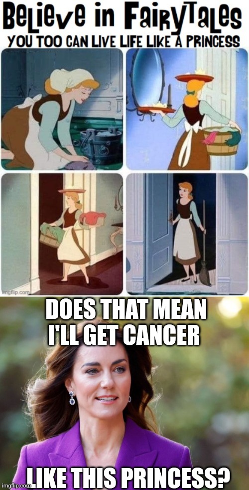 Stolen from comics stream, and darkened a bit | DOES THAT MEAN I'LL GET CANCER; LIKE THIS PRINCESS? | image tagged in kate middleton | made w/ Imgflip meme maker