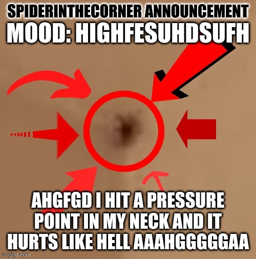 spiderinthecorner announcement | MOOD: HIGHFESUHDSUFH; AHGFGD I HIT A PRESSURE POINT IN MY NECK AND IT HURTS LIKE HELL AAAHGGGGGAA | image tagged in spiderinthecorner announcement | made w/ Imgflip meme maker