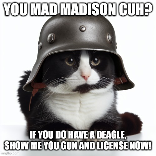 @madison. | YOU MAD MADISON CUH? IF YOU DO HAVE A DEAGLE, SHOW ME YOU GUN AND LICENSE NOW! | image tagged in kaiser_floppa_the_1st silly post | made w/ Imgflip meme maker