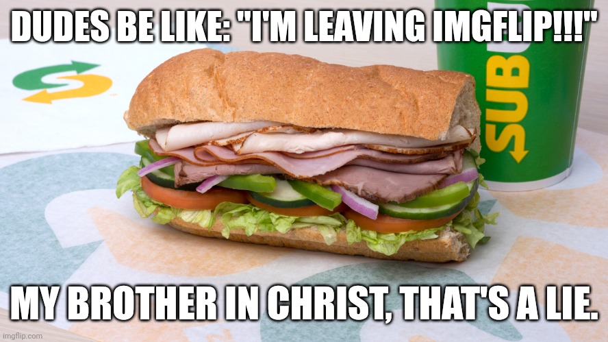 @anyone | DUDES BE LIKE: "I'M LEAVING IMGFLIP!!!"; MY BROTHER IN CHRIST, THAT'S A LIE. | image tagged in subway sucks | made w/ Imgflip meme maker