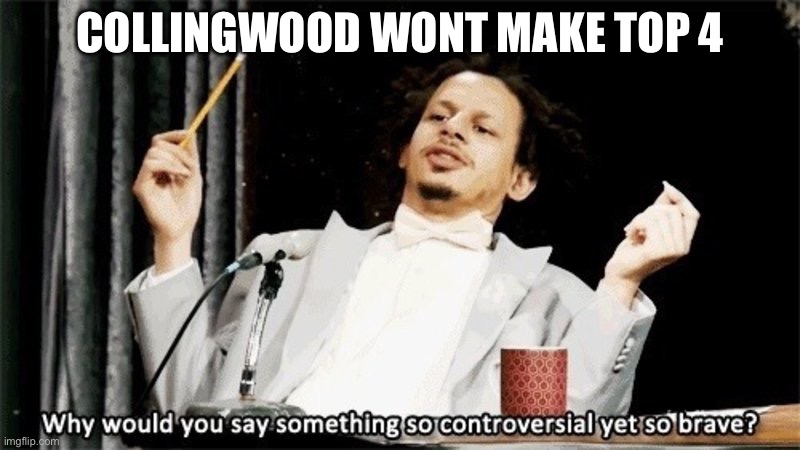 how could you say something so controversial yes so brave | COLLINGWOOD WONT MAKE TOP 4 | image tagged in how could you say something so controversial yes so brave | made w/ Imgflip meme maker