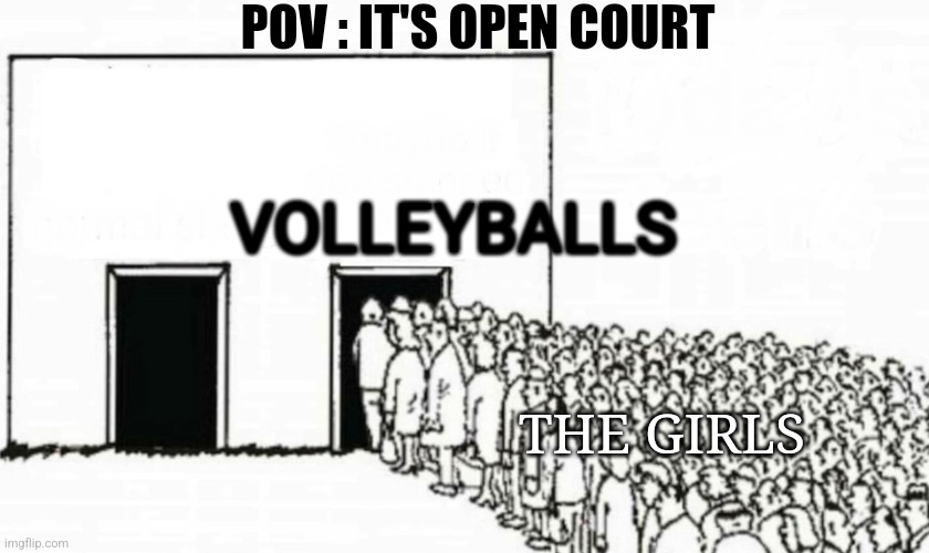 And the boys get basketballs | POV : IT'S OPEN COURT; VOLLEYBALLS; THE GIRLS | image tagged in two doors crowd,girls,volleyball | made w/ Imgflip meme maker