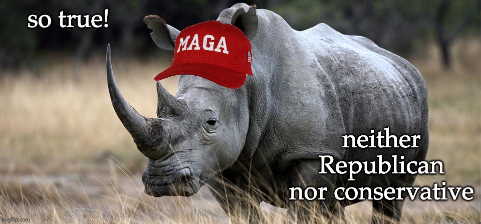 rhino | so true! neither Republican
nor conservative | image tagged in rhino | made w/ Imgflip meme maker