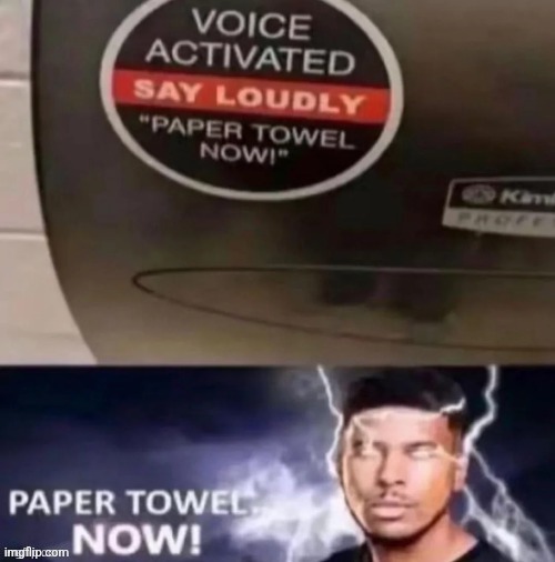 PAPER TOWEL. NOW! | made w/ Imgflip meme maker