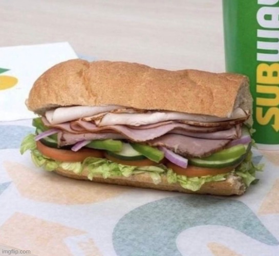 Subway sandwich | image tagged in subway sandwich | made w/ Imgflip meme maker