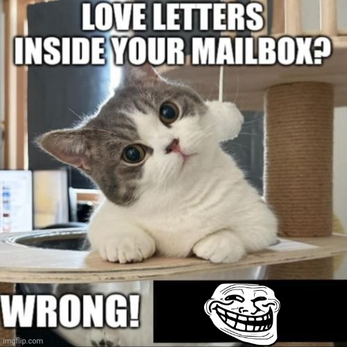 Love letters inside your mailbox? Wrong! | image tagged in love letters inside your mailbox wrong | made w/ Imgflip meme maker