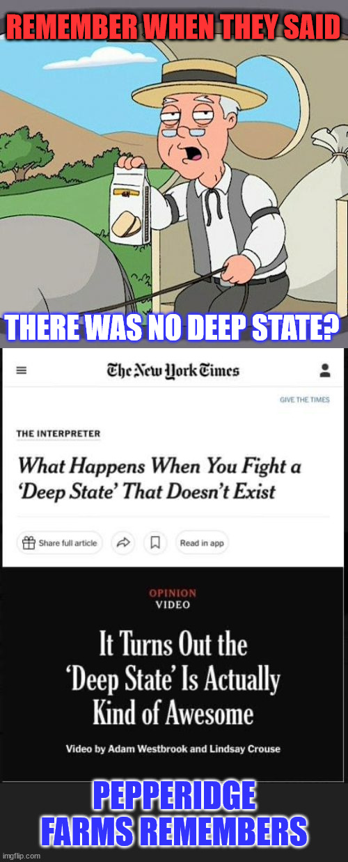 They lied... now they admit there is a deep state | REMEMBER WHEN THEY SAID; THERE WAS NO DEEP STATE? PEPPERIDGE FARMS REMEMBERS | image tagged in memes,pepperidge farm remembers,ny times,admits there is a deep state | made w/ Imgflip meme maker
