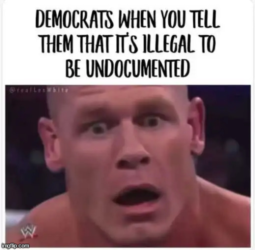 Their misleadia didn't tell them the truth again... so sad | image tagged in libs,shocked undocumented aliens are still illegal | made w/ Imgflip meme maker