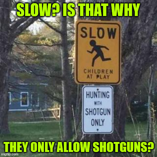 I wonder if they have a limit... | SLOW? IS THAT WHY; THEY ONLY ALLOW SHOTGUNS? | image tagged in dark humour,slow kids | made w/ Imgflip meme maker