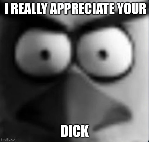 Chuck love dick | I REALLY APPRECIATE YOUR; DICK | image tagged in chuckpost,dick,chuck,angry birds | made w/ Imgflip meme maker