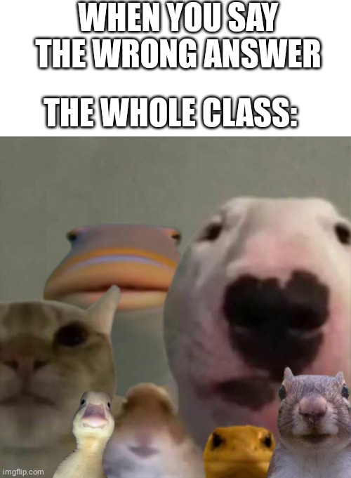 Wrong answer... | WHEN YOU SAY THE WRONG ANSWER; THE WHOLE CLASS: | image tagged in the council remastered,school,class | made w/ Imgflip meme maker