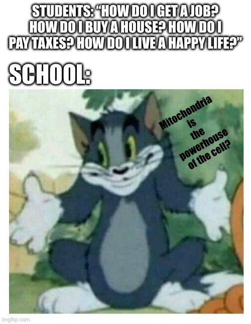 When will school EVABEUZEFULL | STUDENTS: “HOW DO I GET A JOB? HOW DO I BUY A HOUSE? HOW DO I PAY TAXES? HOW DO I LIVE A HAPPY LIFE?”; SCHOOL:; Mitochondria is the powerhouse of the cell? | image tagged in idk tom template | made w/ Imgflip meme maker