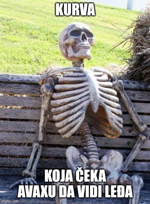 Waiting Skeleton Meme | KURVA; KOJA ČEKA AVAXU DA VIDI LEĐA | image tagged in memes,waiting skeleton | made w/ Imgflip meme maker