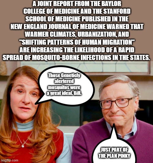 Just oart of the Plan Pinky.. | A JOINT REPORT FROM THE BAYLOR COLLEGE OF MEDICINE AND THE STANFORD SCHOOL OF MEDICINE PUBLISHED IN THE NEW ENGLAND JOURNAL OF MEDICINE WARNED THAT WARMER CLIMATES, URBANIZATION, AND "SHIFTING PATTERNS OF HUMAN MIGRATION" ARE INCREASING THE LIKELIHOOD OF A RAPID SPREAD OF MOSQUITO-BORNE INFECTIONS IN THE STATES. Those Geneticly alertered mosquitos were a great ideal. Bill. JUST PART OF THE PLAN PINKY | image tagged in melinda bill gates,nwo | made w/ Imgflip meme maker