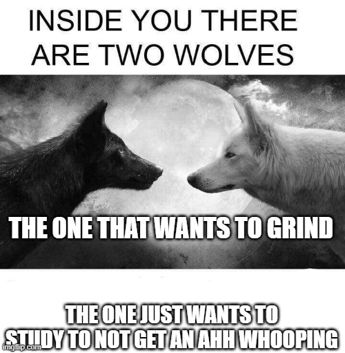 "based on a true story" | THE ONE THAT WANTS TO GRIND; THE ONE JUST WANTS TO STUDY TO NOT GET AN AHH WHOOPING | image tagged in inside you there are two wolves | made w/ Imgflip meme maker