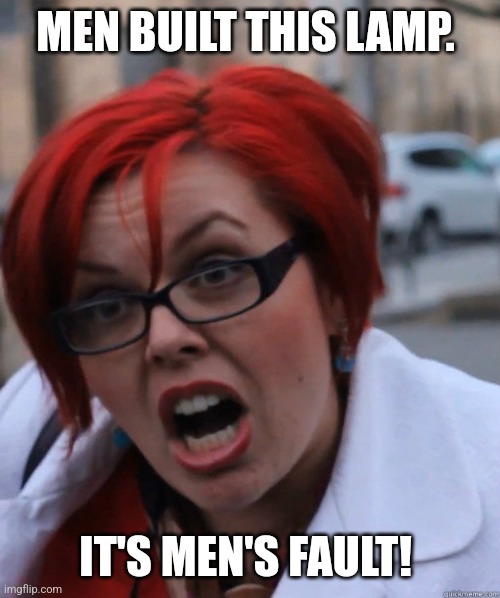 Feminist Face | MEN BUILT THIS LAMP. IT'S MEN'S FAULT! | image tagged in feminist face | made w/ Imgflip meme maker