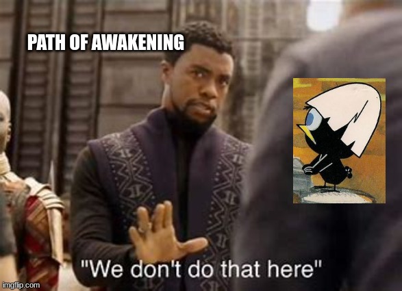 We don`t do that in here | PATH OF AWAKENING | image tagged in we don t do that in here | made w/ Imgflip meme maker