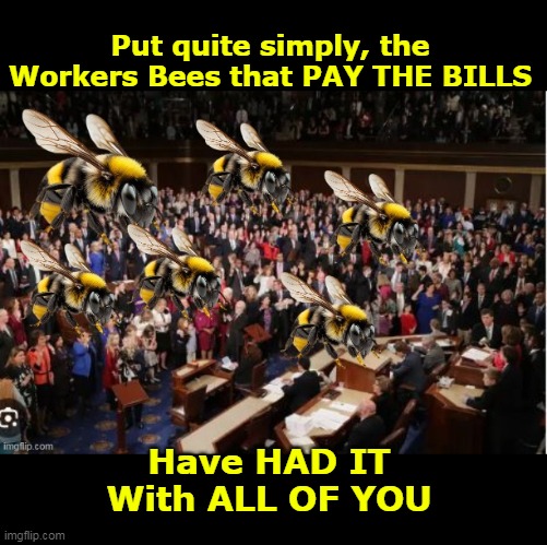 2024 The MIDDLE CLASS ELECTION | Put quite simply, the Workers Bees that PAY THE BILLS; Have HAD IT
With ALL OF YOU | image tagged in worker bees pay the bills meme | made w/ Imgflip meme maker