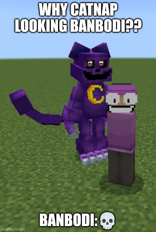 catnap is terrible in minecraft | WHY CATNAP LOOKING BANBODI?? BANBODI:💀 | image tagged in minecraft banbodi and catnap smiling critters,banbodi,catnap,smiling critters,minecraft,poppy playtime | made w/ Imgflip meme maker