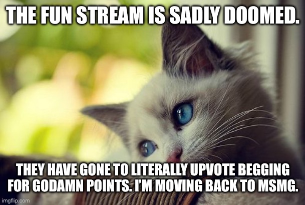 I can’t believe these stupid fun stream people. I wish this was 2022 again. | THE FUN STREAM IS SADLY DOOMED. THEY HAVE GONE TO LITERALLY UPVOTE BEGGING FOR GODAMN POINTS. I’M MOVING BACK TO MSMG. | image tagged in memes,first world problems cat,sad | made w/ Imgflip meme maker