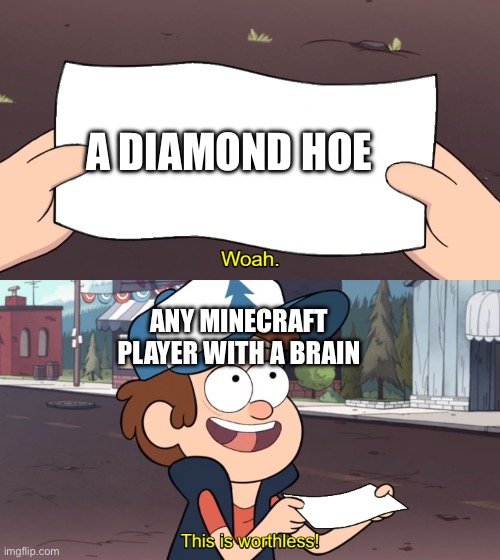 Tell men ONE person who has a diamond hoe | A DIAMOND HOE; ANY MINECRAFT PLAYER WITH A BRAIN | image tagged in this is worthless | made w/ Imgflip meme maker