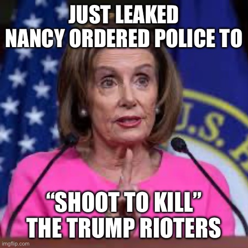 Nancy busted | JUST LEAKED NANCY ORDERED POLICE TO; “SHOOT TO KILL” THE TRUMP RIOTERS | image tagged in nancy polosie,gifs,funny | made w/ Imgflip meme maker