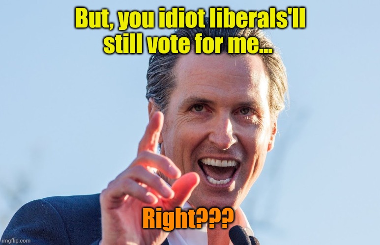 Insane Idiot Gavin Newsom | But, you idiot liberals'll still vote for me... Right??? | image tagged in insane idiot gavin newsom | made w/ Imgflip meme maker