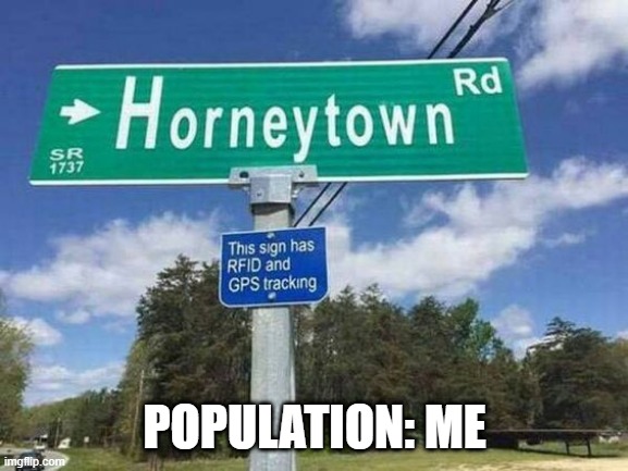 Horneytown | POPULATION: ME | image tagged in sex jokes | made w/ Imgflip meme maker