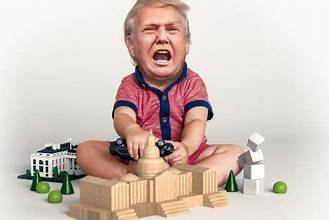 Toddler Trump Blank Meme Template