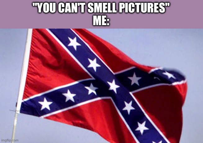 Cigarette butts, ash trays, cigar smoke | "YOU CAN'T SMELL PICTURES"
ME: | image tagged in confederate flag | made w/ Imgflip meme maker