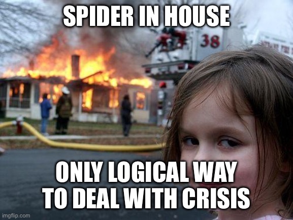 Spider in house | SPIDER IN HOUSE; ONLY LOGICAL WAY TO DEAL WITH CRISIS | image tagged in memes,disaster girl | made w/ Imgflip meme maker