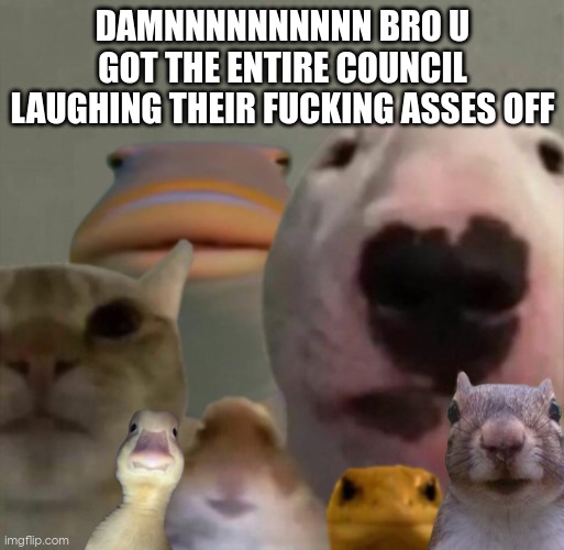 The council remastered | DAMNNNNNNNNNN BRO U GOT THE ENTIRE COUNCIL LAUGHING THEIR FUCKING ASSES OFF | image tagged in the council remastered | made w/ Imgflip meme maker
